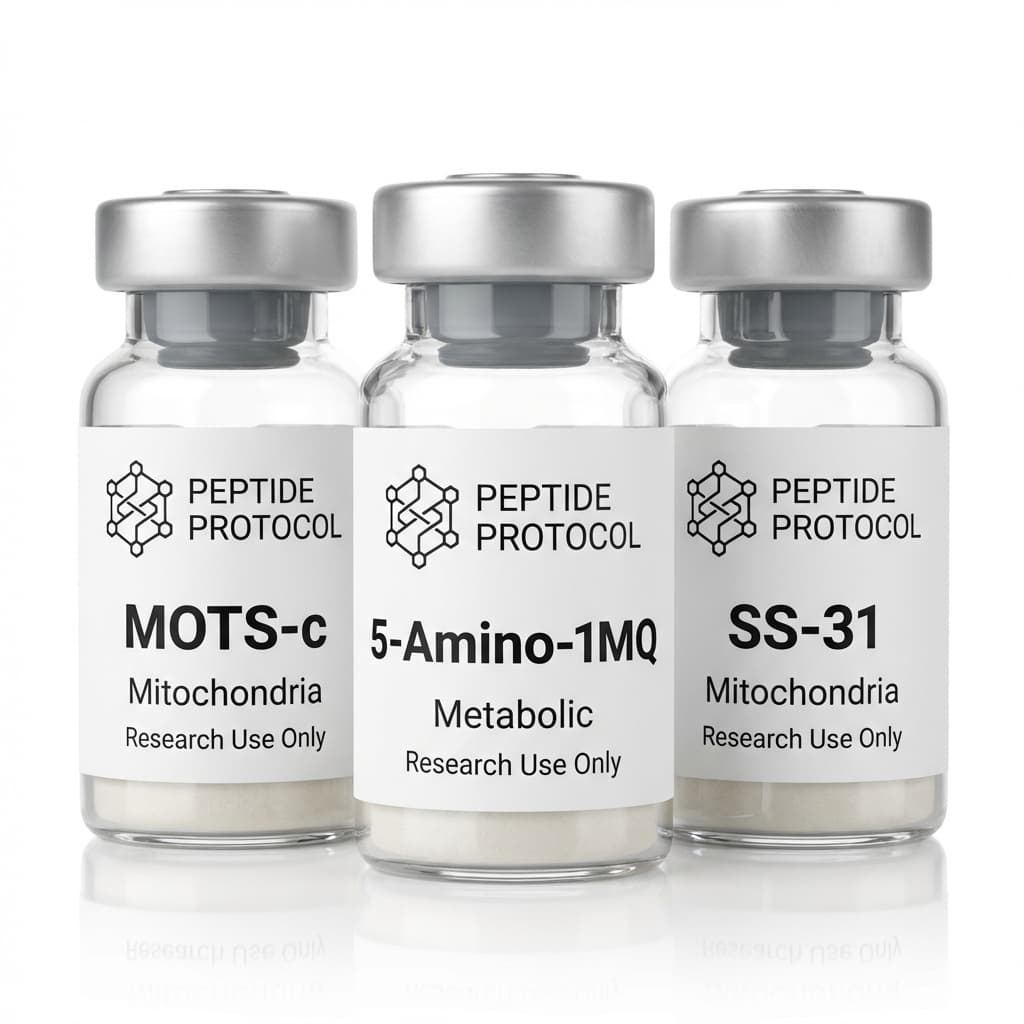 Fueled Mitochondria Reset